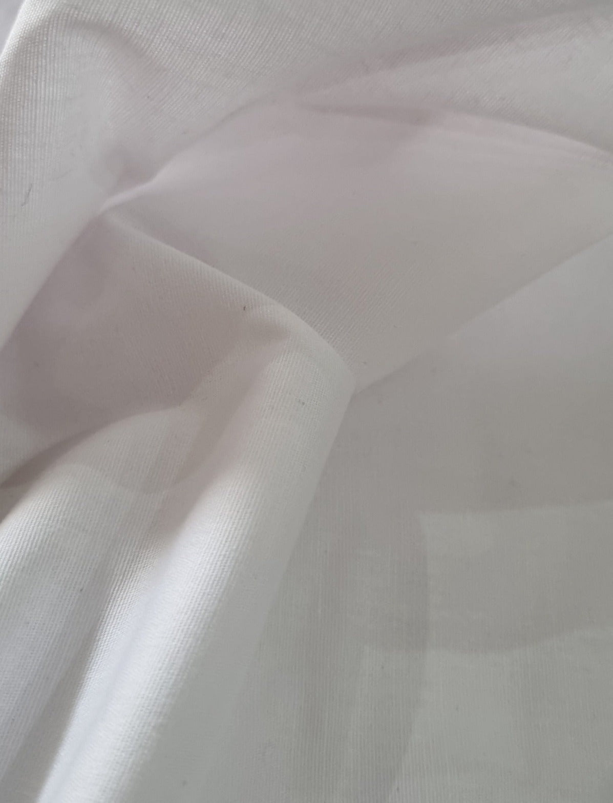 CAMISARIA