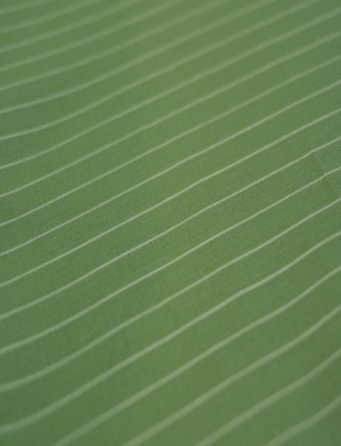 Camisaria 100% algodão Egípcio Verde/branco - R$ 59,90